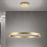 полилей HL 6-1717/80 gold-matt(LED80W/4300lm/3CC - Изображение 5
