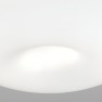 плафон DL 7-566/2 satin/opal  (2xE27) - Изображение 1