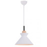 пендел 180066 PENDANT LAMP E27 MAX 40W WHITE