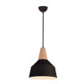 пендел 180088 PENDANT LAMP E27 MAX 40W BLACK