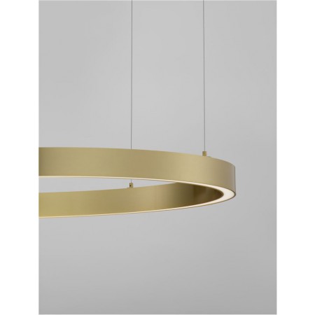 полилей 9558608 - Изображение 1