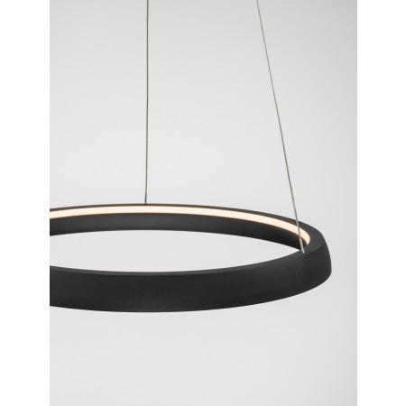 полилей 9695704 - Изображение 2