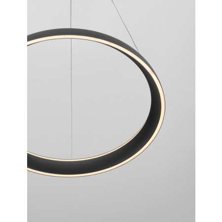 полилей 9695704 - Изображение 3