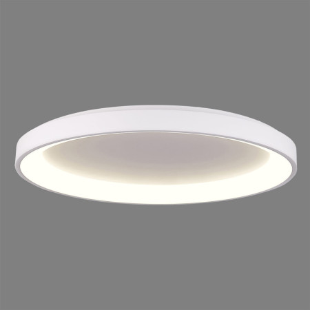 плафон P384831BDP (Ceiling lamp/78cm LED 4000K DALI/Push - Изображение 1