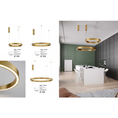 полилей 9558608 - Изображение 3